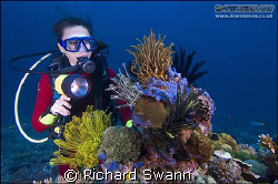 Coral Head Lankayan by Richard Swann 